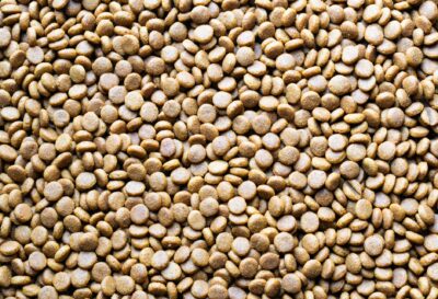 Purina à Marconnelle : quatre extrudeurs et un entrepôt automatisé pour gagner 70 000 tonnes