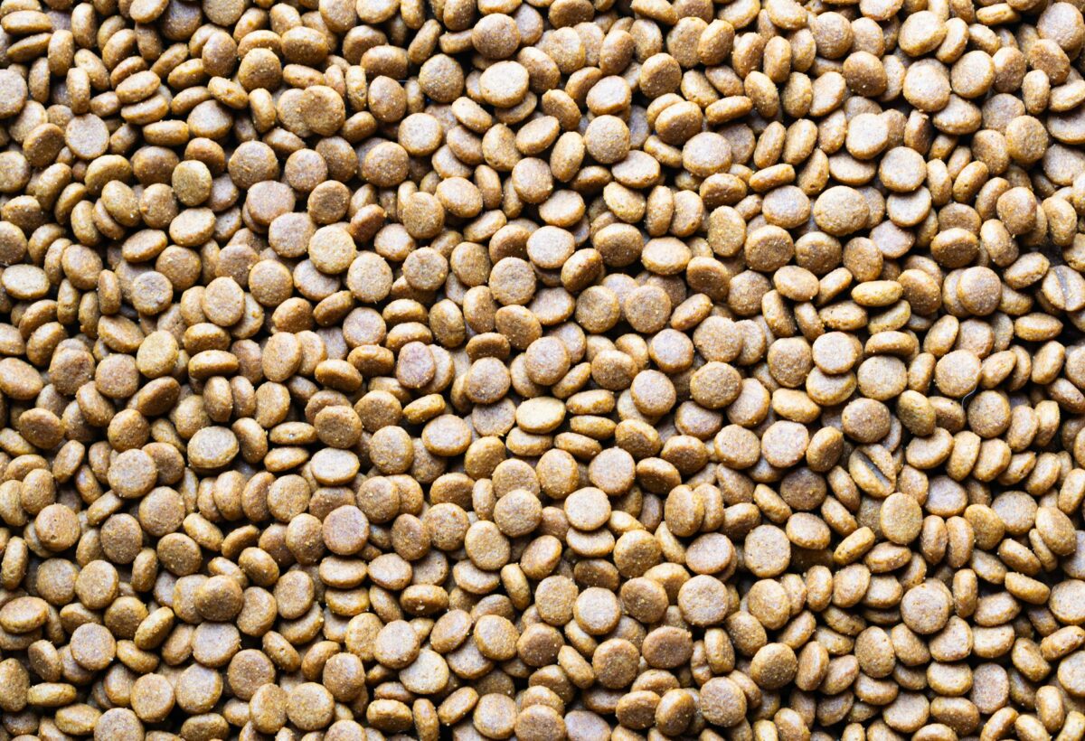 Purina à Marconnelle : quatre extrudeurs et un entrepôt automatisé pour gagner 70 000 tonnes